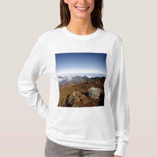 Camiseta Silversword en el borde del cráter Haleakala desde