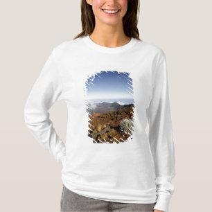 Camiseta Silversword en el borde del cráter Haleakala desde