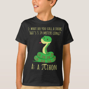 Camiseta Símbolo de Python Pithon Pi Dia de Pi para profeso