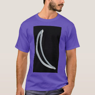 Camiseta Símbolos alquímicos plateados dos invertidos