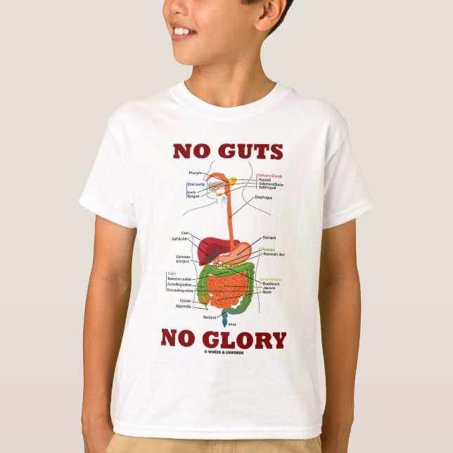 Camiseta Sin Ganas Sin Gloria (Humor De Anatomía Del Sistem (Anverso)