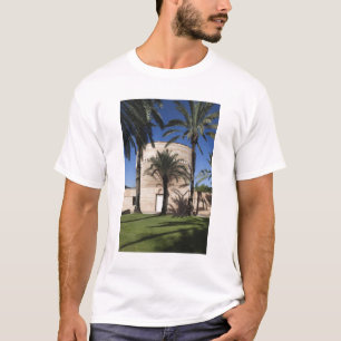Camiseta Sinagoga Cymbalista