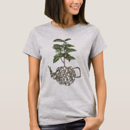 Camiseta Sinensis de la camelia - planta de té
