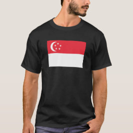 Camiseta Singapore flag T-Shirt, Patriotic 