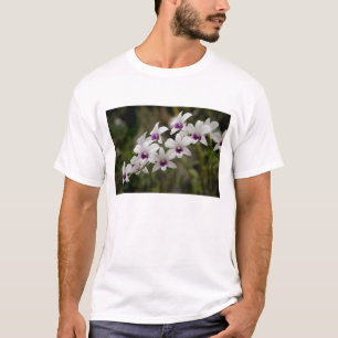 Camiseta Singapur (sánscrito para Ciudad León). Nacional 2