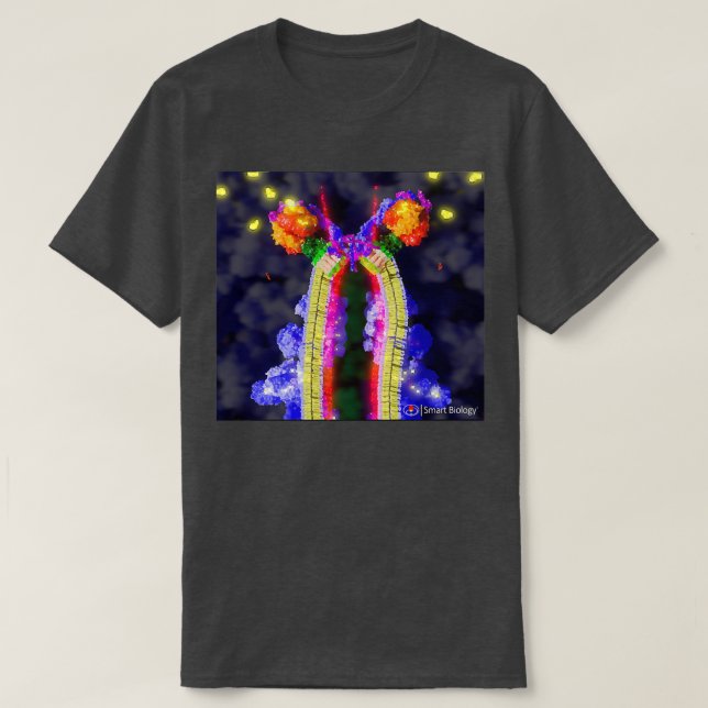 Camiseta Sinthasa ATP (Diseño del anverso)
