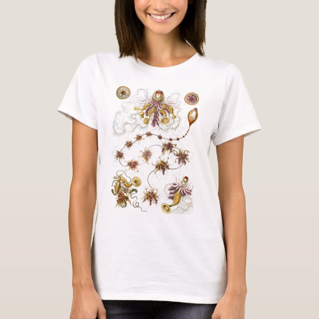 Camiseta Siphonophorae Ernst Haeckel Bella Artes (Anverso)