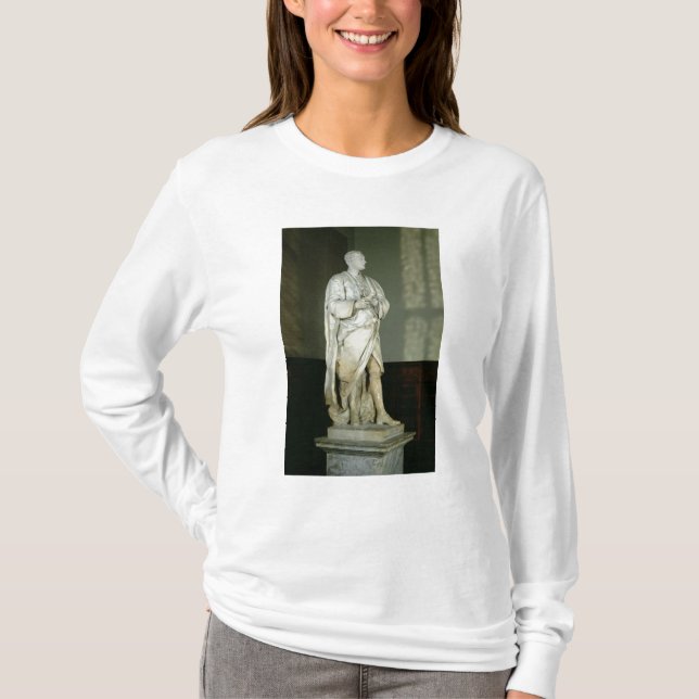 Camiseta Sir Isaac Newton (Anverso)
