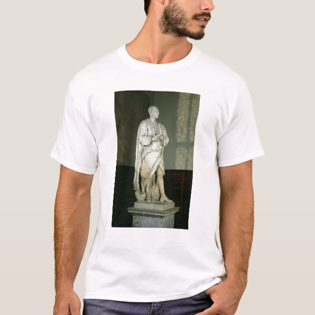 Camiseta Sir Isaac Newton (Anverso)
