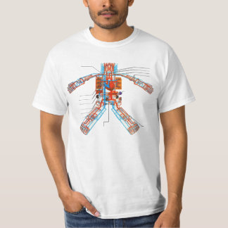 Camiseta Sistema circulatorio