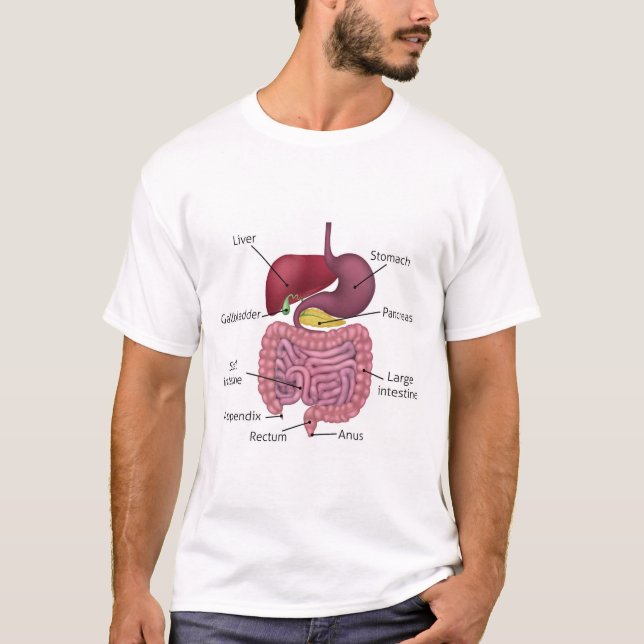 Camiseta Sistema digestivo y etiquetas gastrointestinales (Anverso)