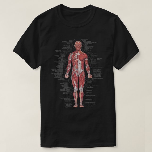 Camiseta Sistema muscular del cuerpo humano (Diseño del anverso)
