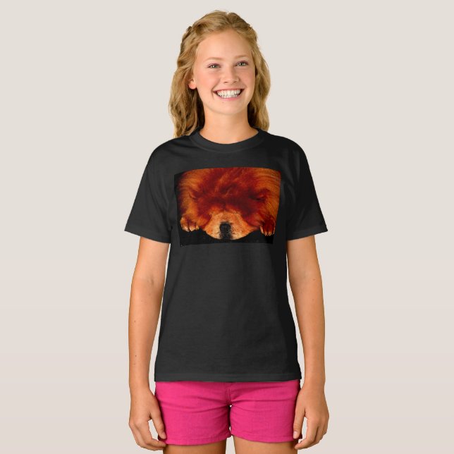 Camiseta Sleeping Chow Chow gccna (Anverso completo)