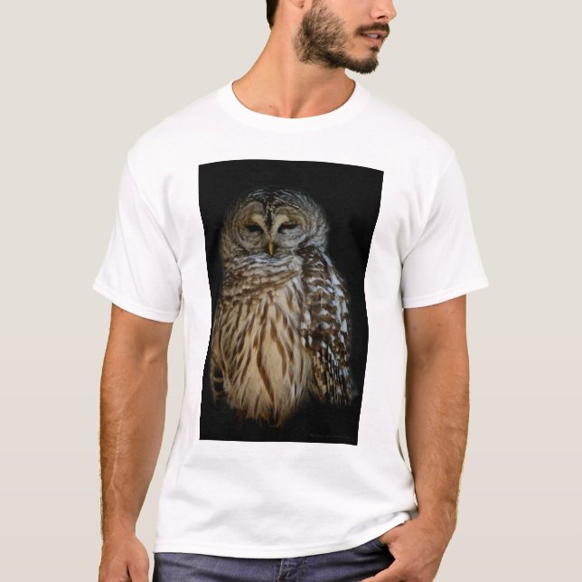 Camiseta Sleepy Owl Shirt (Anverso)