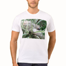 sloth with stylized back pix