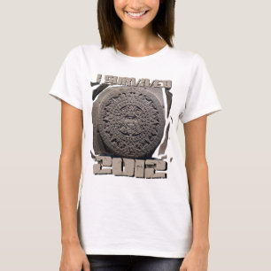 CAMISETA SOBREVIVÍ 2012