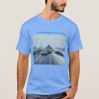 Camiseta Sobreviví a las tormentas invernales de 2026