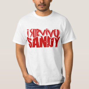 Camiseta sobreviví a SANDY