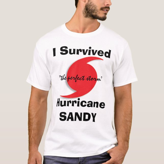 Camiseta Sobreviví a SANDY (Anverso)