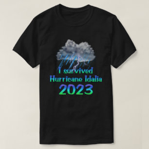 Camiseta Sobreviví al huracán Idalia 2023