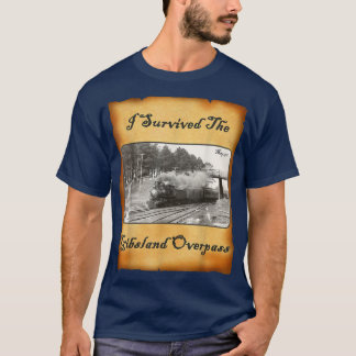 Camiseta Sobreviví Al Pasaje De Gibsland