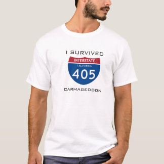 Camiseta Sobreviví Carmageddon
