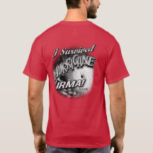 Sobreviví el huracán Irma