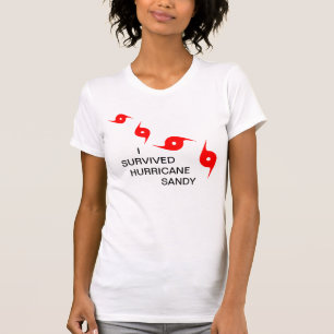 CAMISETA SOBREVIVÍ EL HURACÁN SANDY