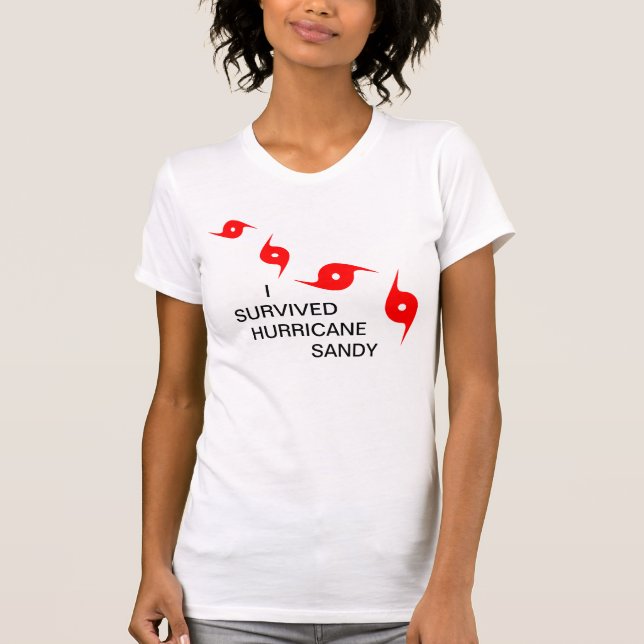 CAMISETA SOBREVIVÍ EL HURACÁN SANDY (Anverso)