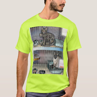 Camiseta Sociedad Humana para los Gatos primero