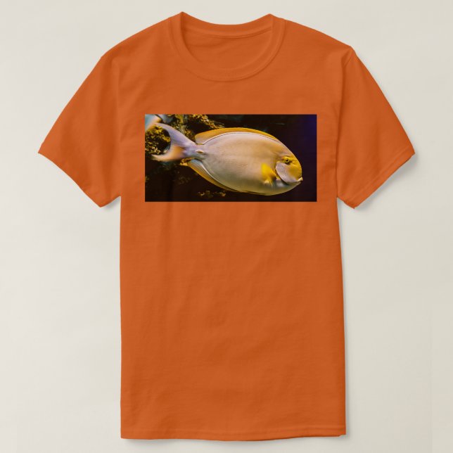 Camiseta Sol (Diseño del anverso)