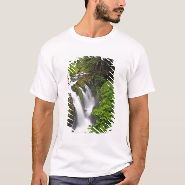 Camiseta Sol Duc cae en Parque Nacional Olímpico en (Anverso)