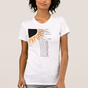 Camiseta Sol termonuclear