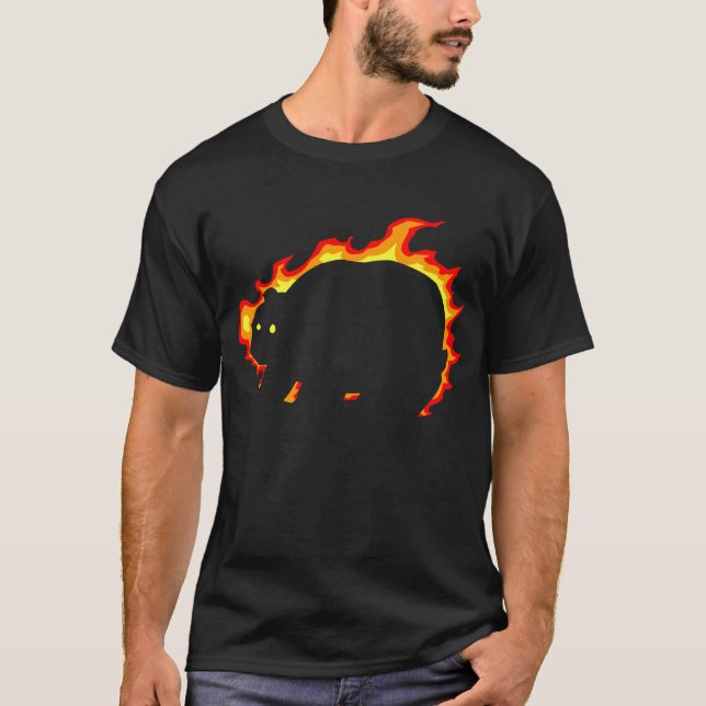 Camiseta solarbear3 (Anverso)