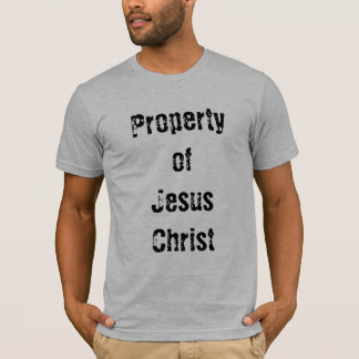 Camiseta Soldado