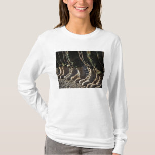 Camiseta Soldados Afghan National Army Air Corp