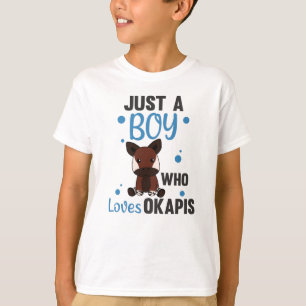 Camiseta Solo A Un Niño De Okapis Le Encanta - Waldgiraffe