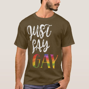 Camiseta Solo digo gay está bien decir LGBTQ gay Florida po