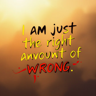 Camiseta Solo soy la cantidad correcta de errores