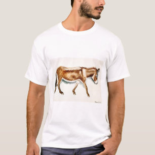 Camiseta Solo un burro