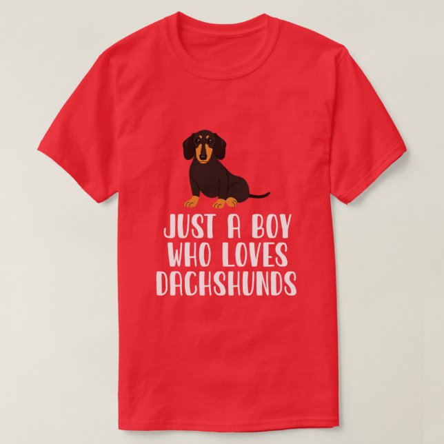 Camiseta Solo un chico que ama a Dachshunds (Diseño del anverso)