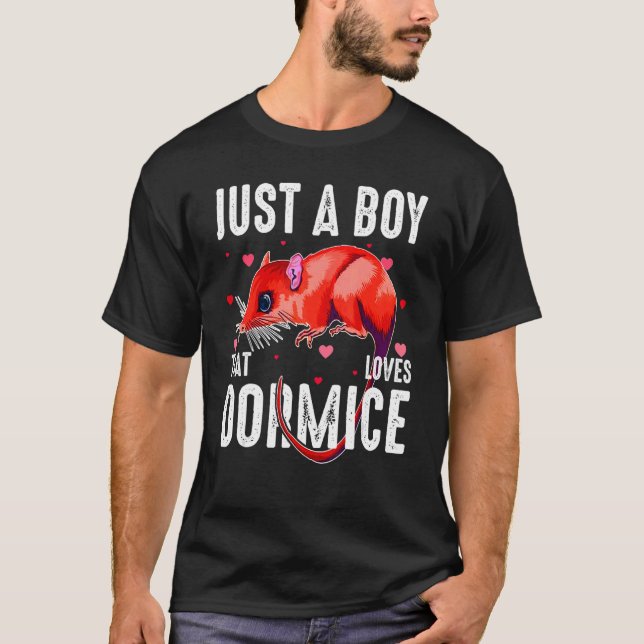 Camiseta Solo un chico que ama a los ecologistas africanos  (Anverso)