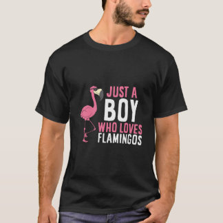 Camiseta Solo un chico que ama a los flamencos
