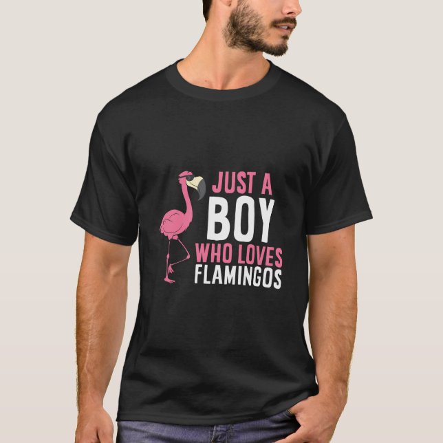 Camiseta Solo un chico que ama a los flamencos (Anverso)