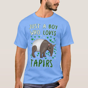 Camiseta Solo un chico que ama a los zapatos