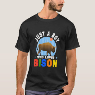 Camiseta Solo un chico que ama el animal de cumpleaños de B