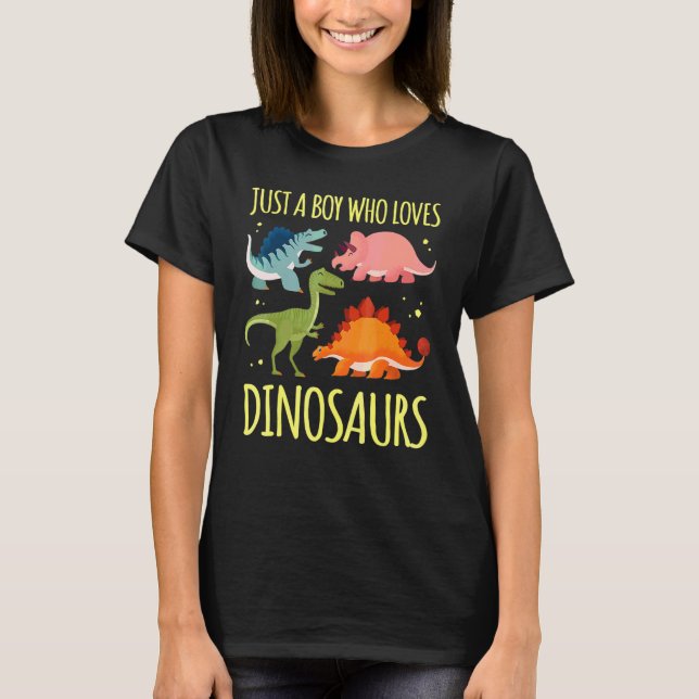 Camiseta Solo un chico que ama los dinosaurios Ciencia Pale (Anverso)