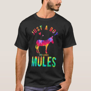 Camiseta Solo un chico que ama mulas Amante de mulas Divert