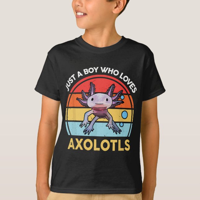 Camiseta Solo Un Niño Que Ama A Axolotls Cute Axolotl (Anverso)