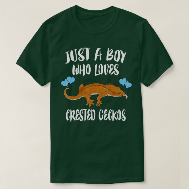 Camiseta Solo Un Niño Que Ama A Geckos Crestados Ok Mascota (Diseño del anverso)